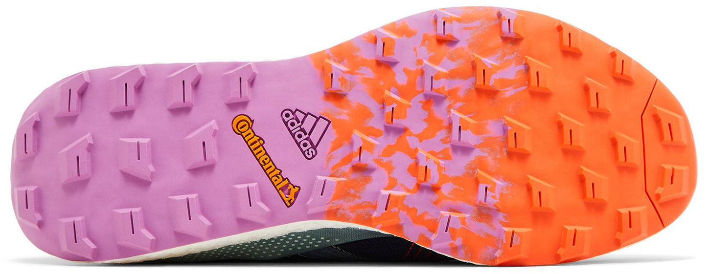 Adidas Terrex Two Ultra 'Primeblue'