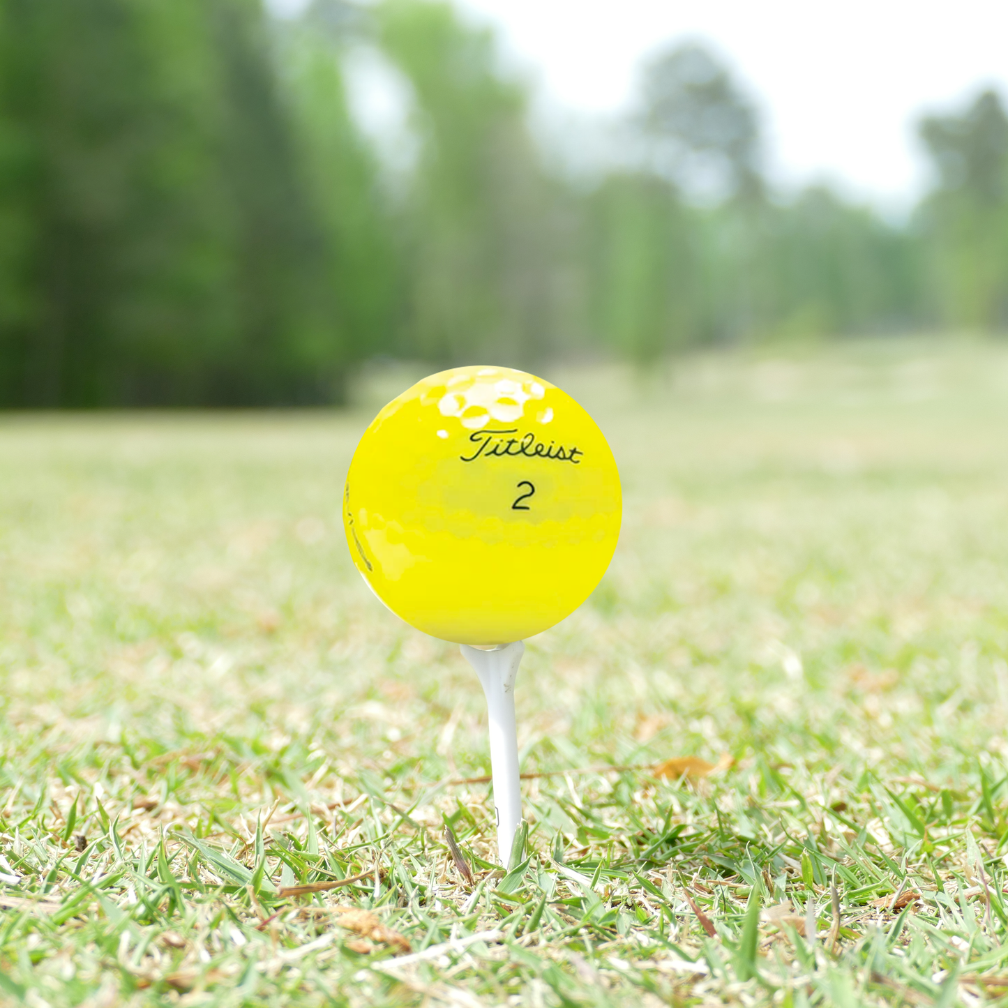 Titleist Mint/Near Mint Pro V1 Yellow Mix Golf Balls - 1 Dozen