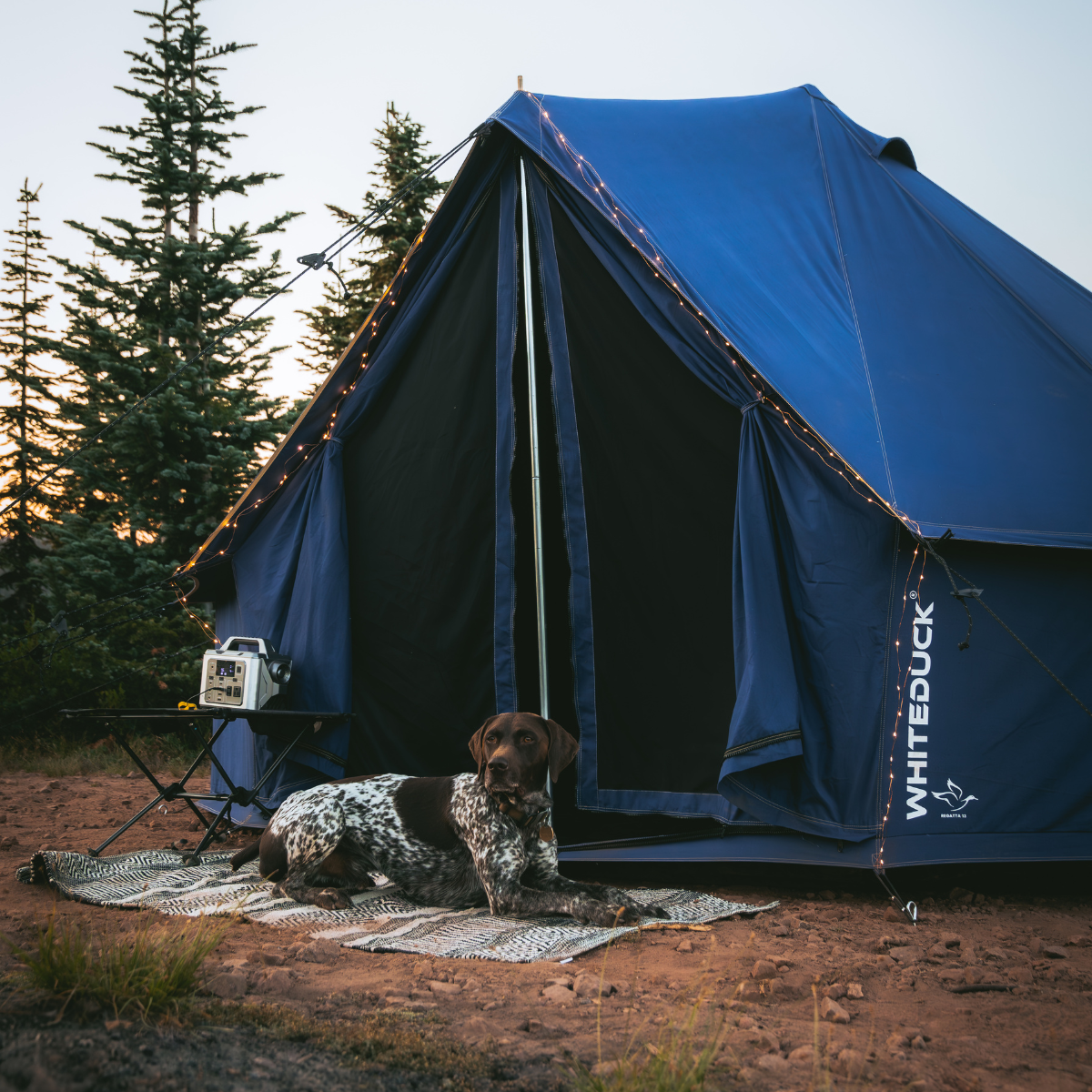 WDO 16' Regatta Bell Tent