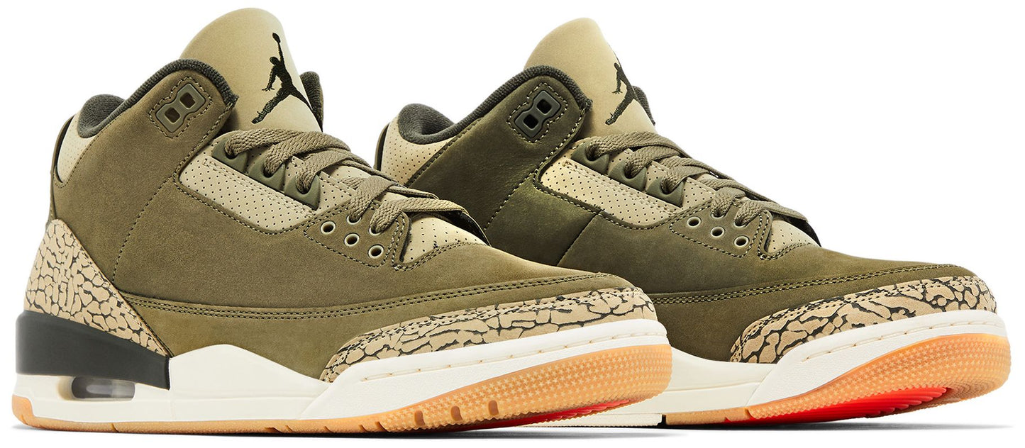 Jordan 3 Retro 'Family Affair'