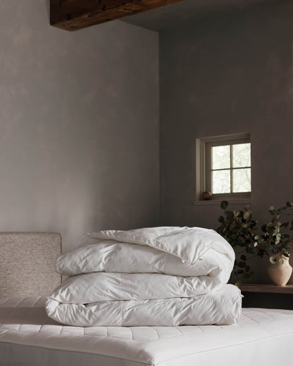 Cozy Earth Soft-Wash Cotton Bedding Deluxe Bundle - Down Alternative