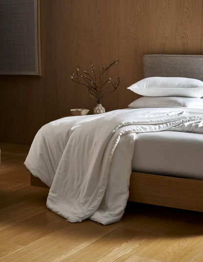 Cozy Earth Silk Comforter
