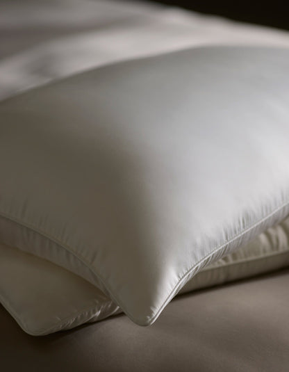Cozy Earth Silk Insert Bundle