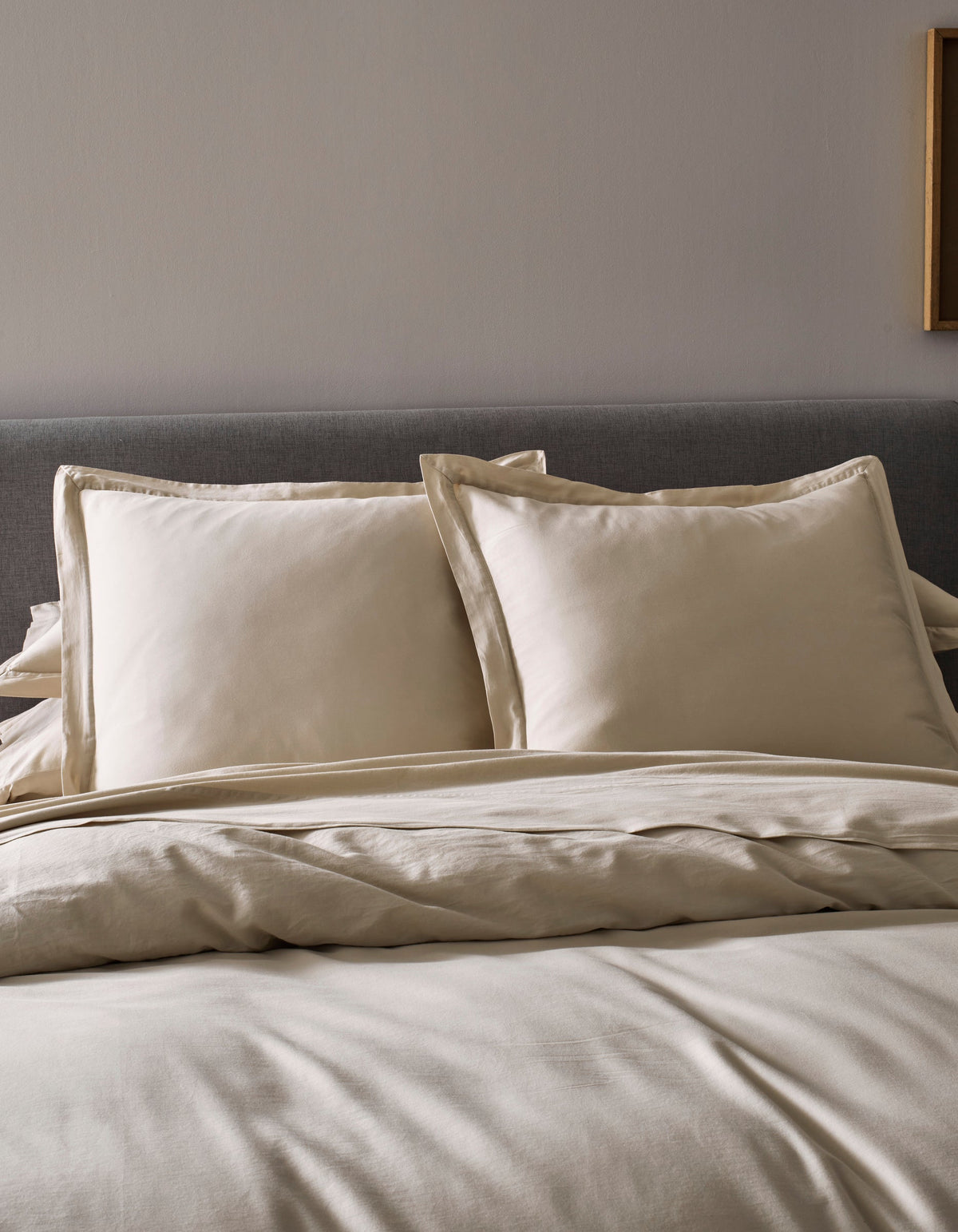 Cozy Earth Soft-Wash Cotton Duvet Set