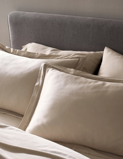 Cozy Earth Soft-Wash Cotton Shams