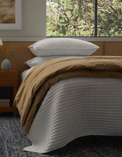 Cozy Earth Down Alternative Throw