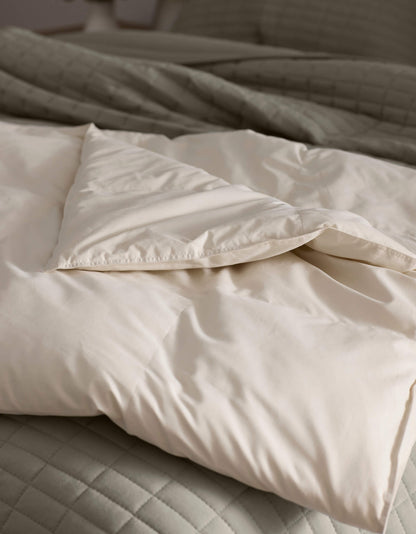 Cozy Earth Down Alternative Throw