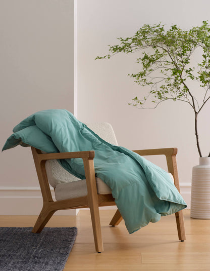 Cozy Earth Down Alternative Throw