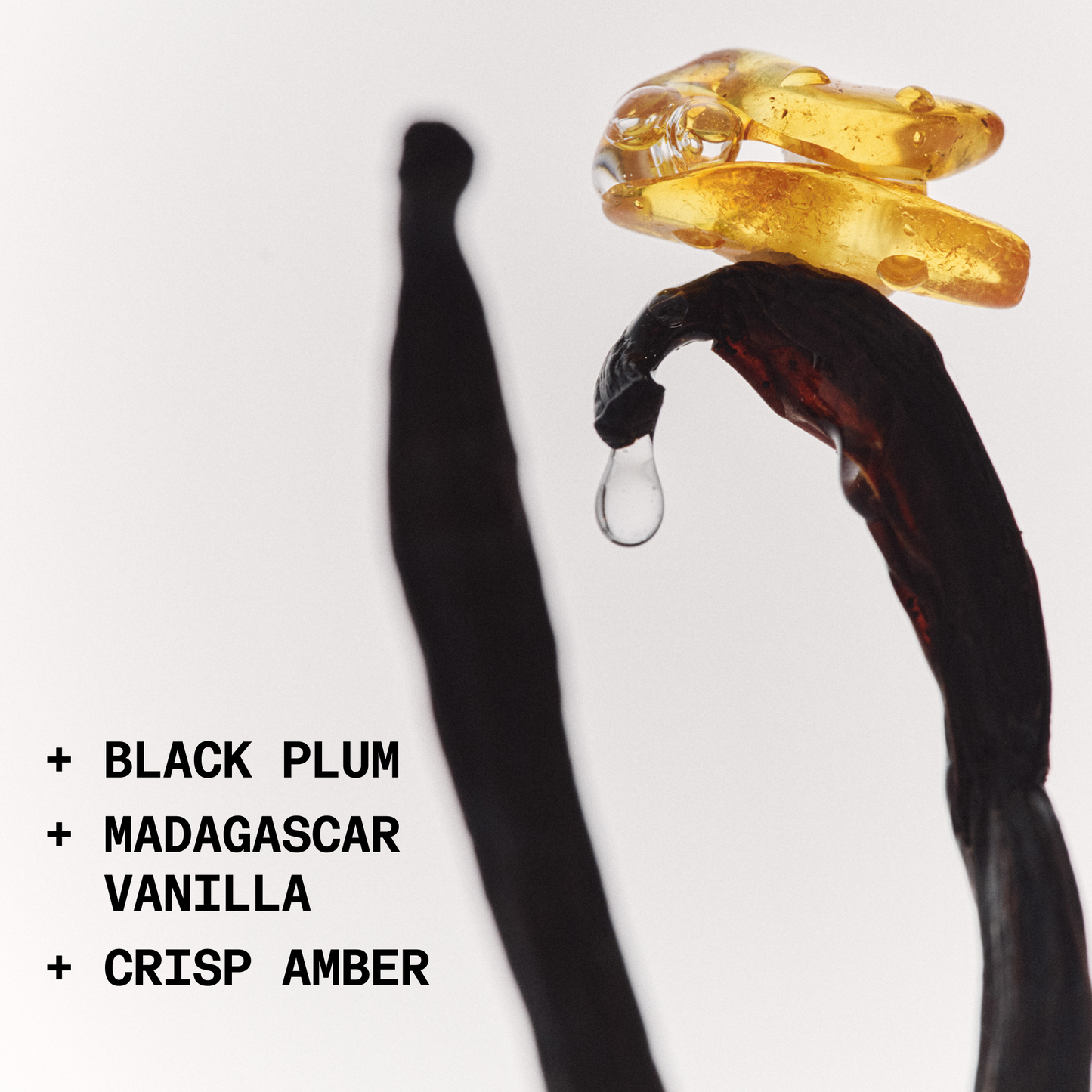 YATTA The Adventure Portable Camping Cot - Mann