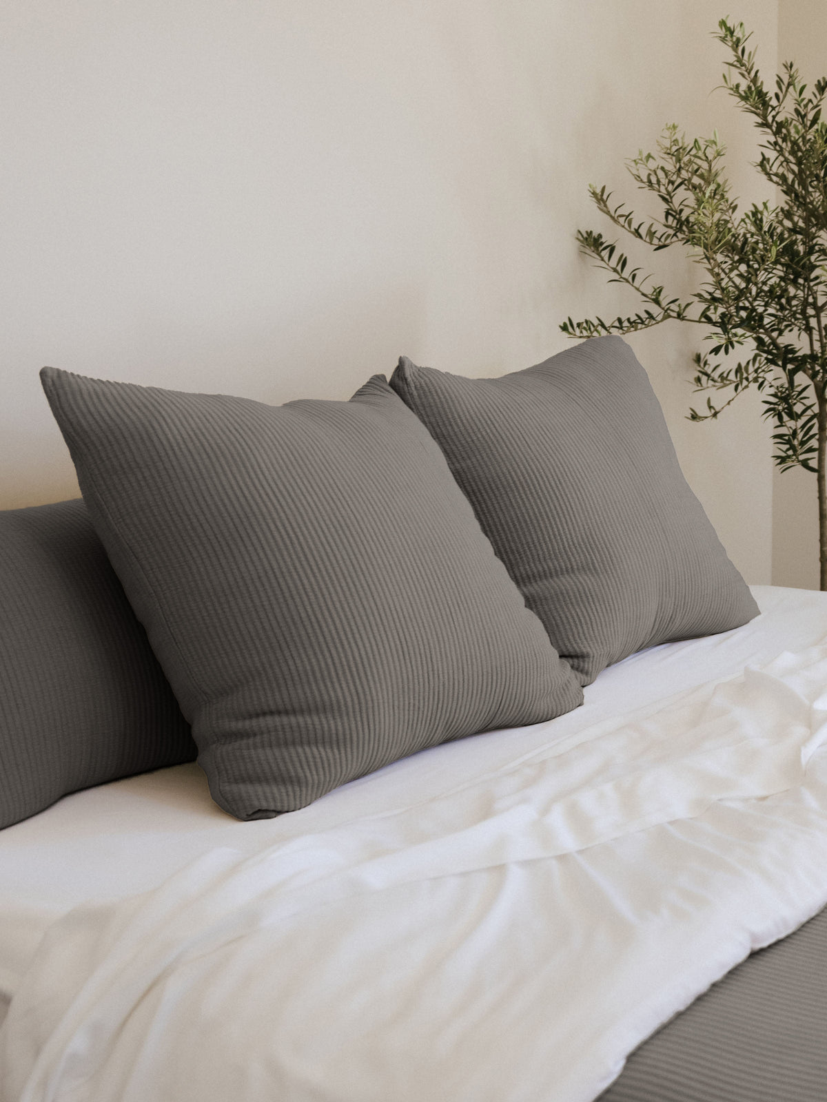 Cozy Earth Bamboo Coverlet Euro Sham