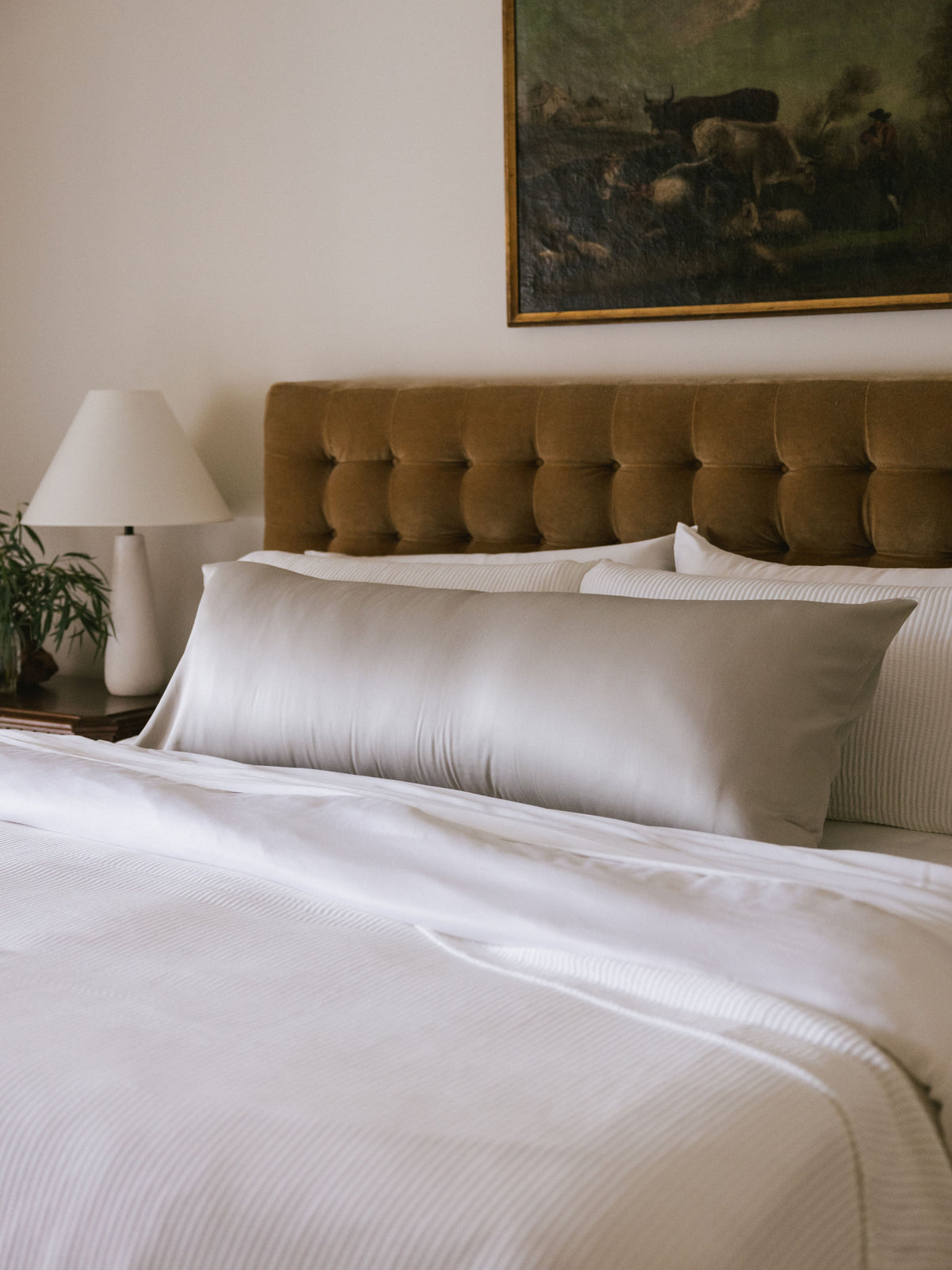 Cozy Earth Bamboo Pillowcases