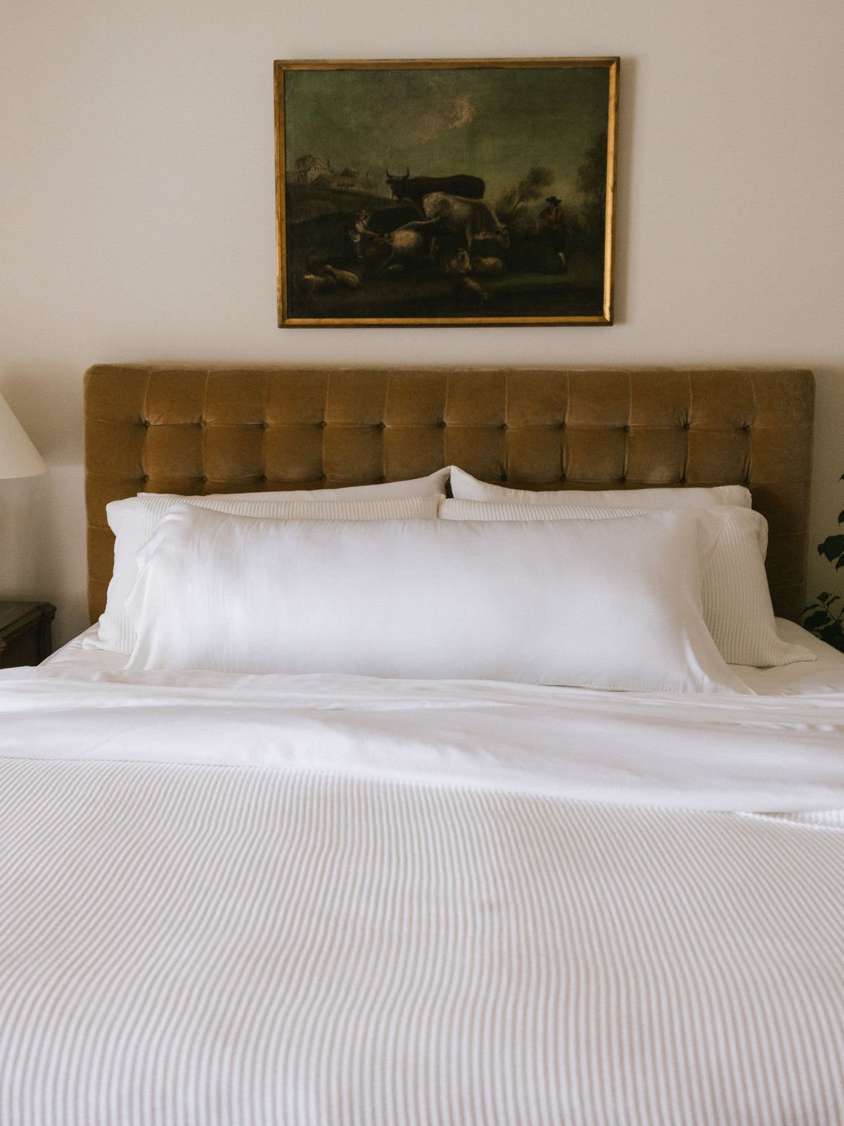 Cozy Earth Bamboo Pillowcases