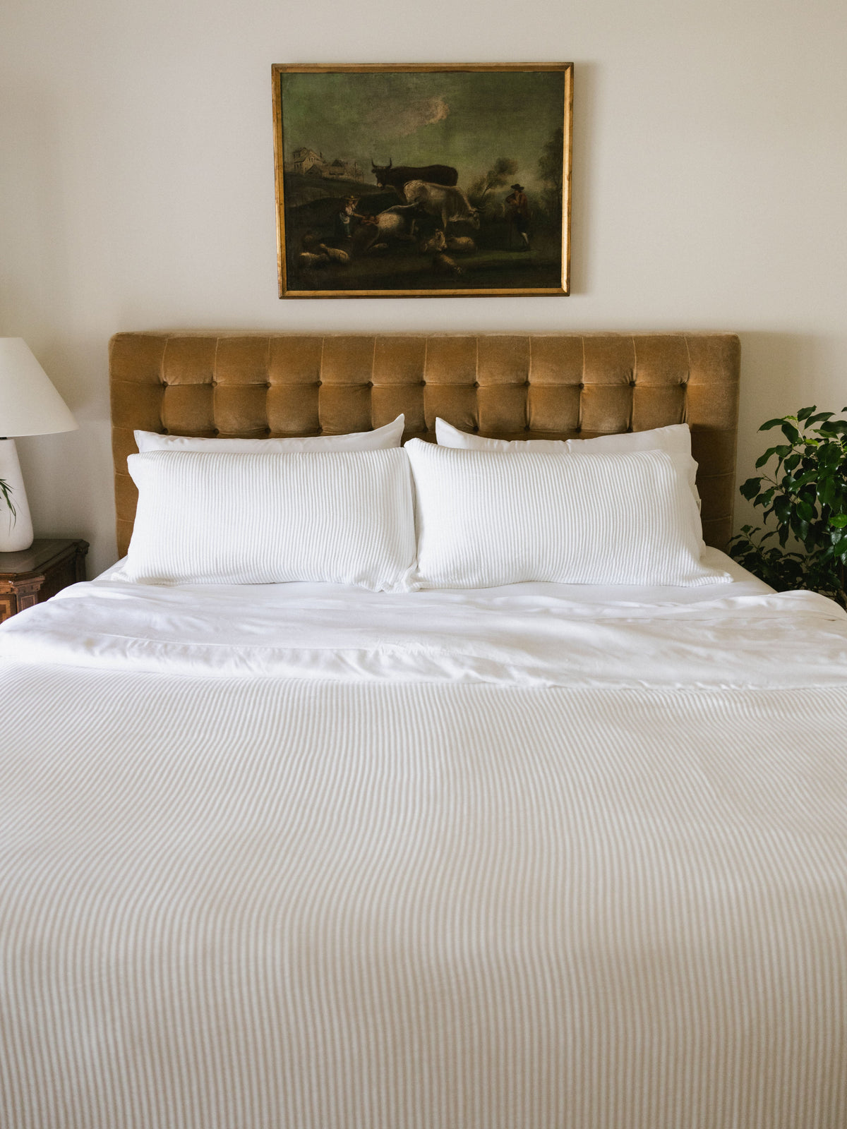 Cozy Earth Bamboo Coverlet