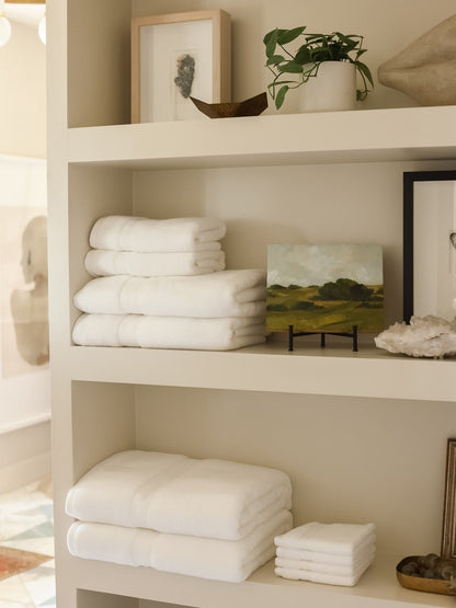 Cozy Earth Luxe Washcloths