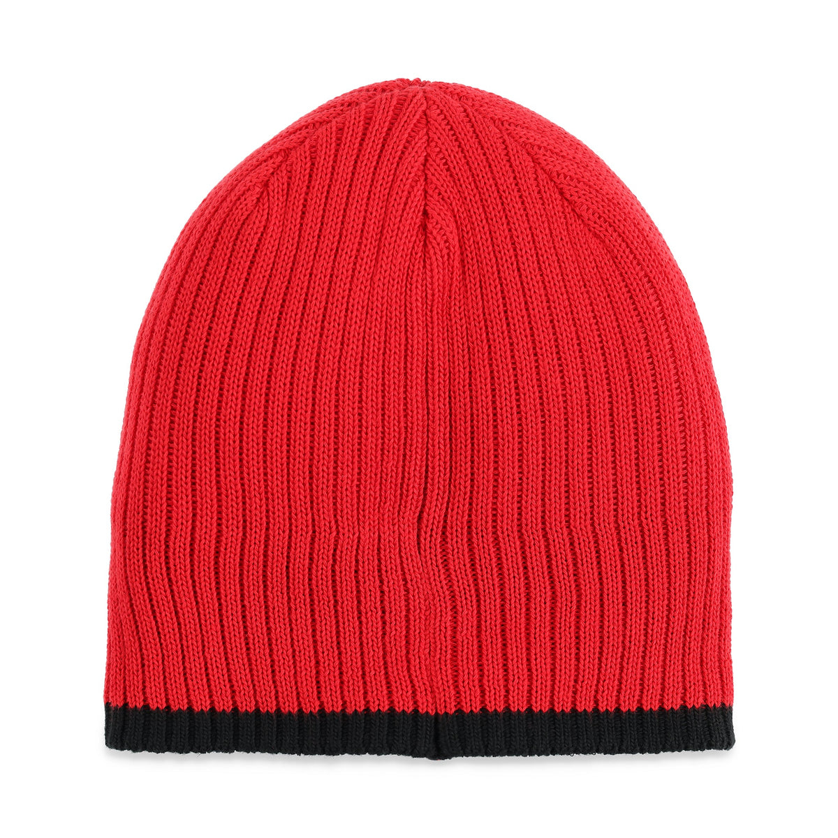 Spyder Logo Beanie