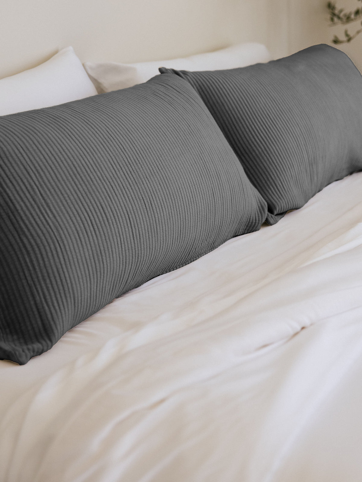 Cozy Earth Bamboo Coverlet Shams