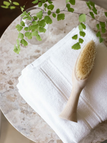 Cozy Earth Luxe Hand Towels