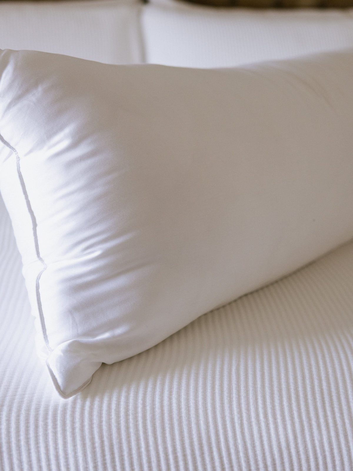 Cozy Earth Bamboo Down Alternative Pillow