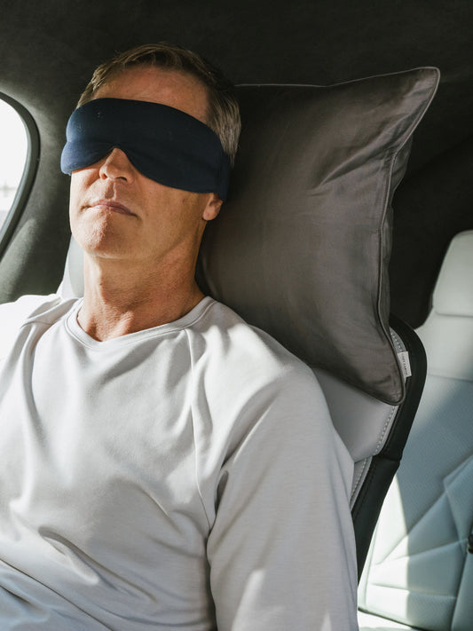 Cozy Earth Bamboo Down Alternative Travel Pillow