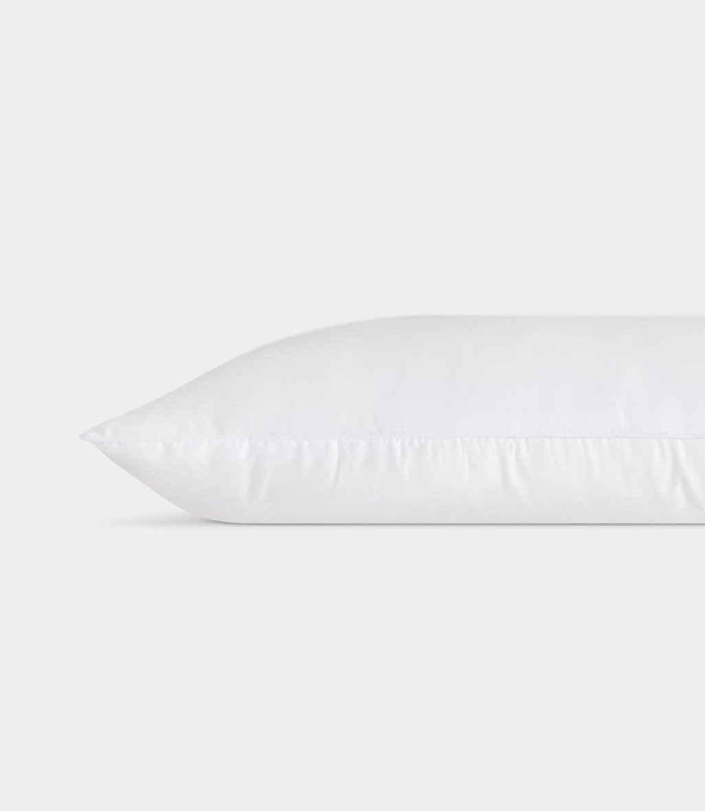 Cozy Earth Silk Pillow