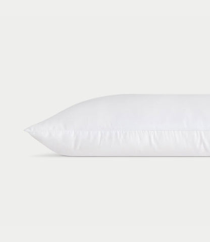Cozy Earth Silk Pillow