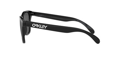 Oakley Frogskins Sunglasses