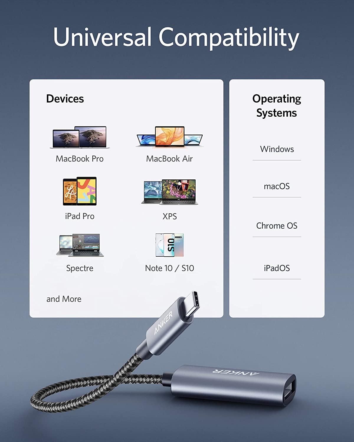 Anker PowerExpand USB-C to DisplayPort Adapter - Mann