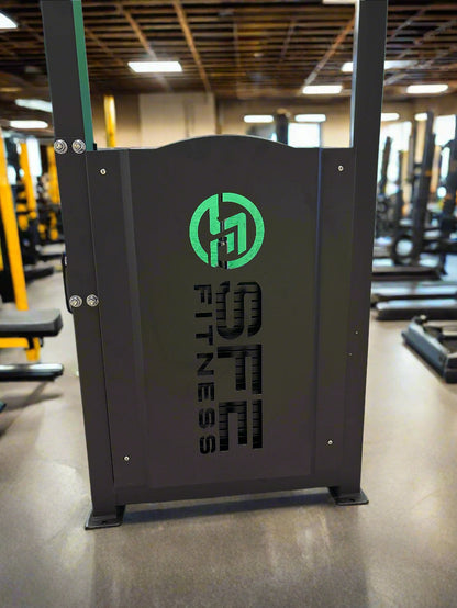 SFE Selectorized Back & Ab Combo Machine w/ 250lb Weight Stack