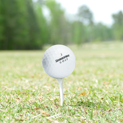 Bridgestone Mint e6 Mix - 1 Dozen