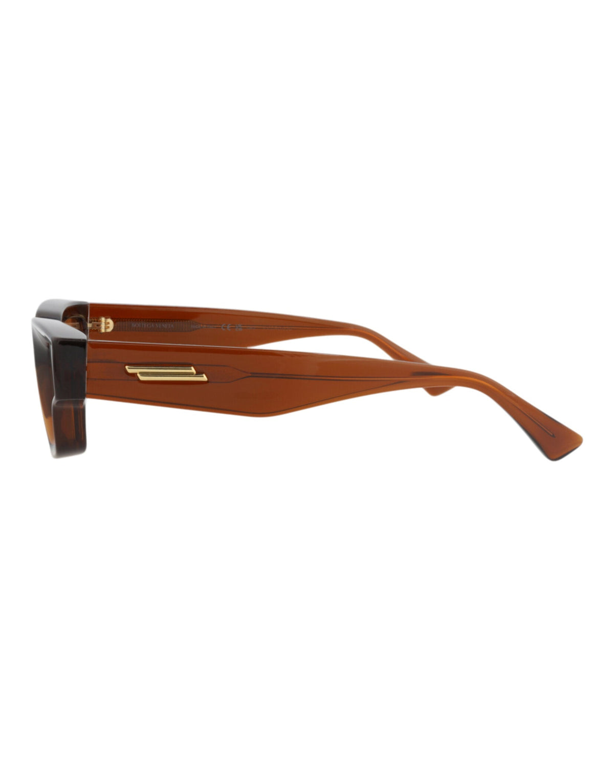 Bottega Veneta Cat Eye-Frame Injection Sunglasses 'Brown'