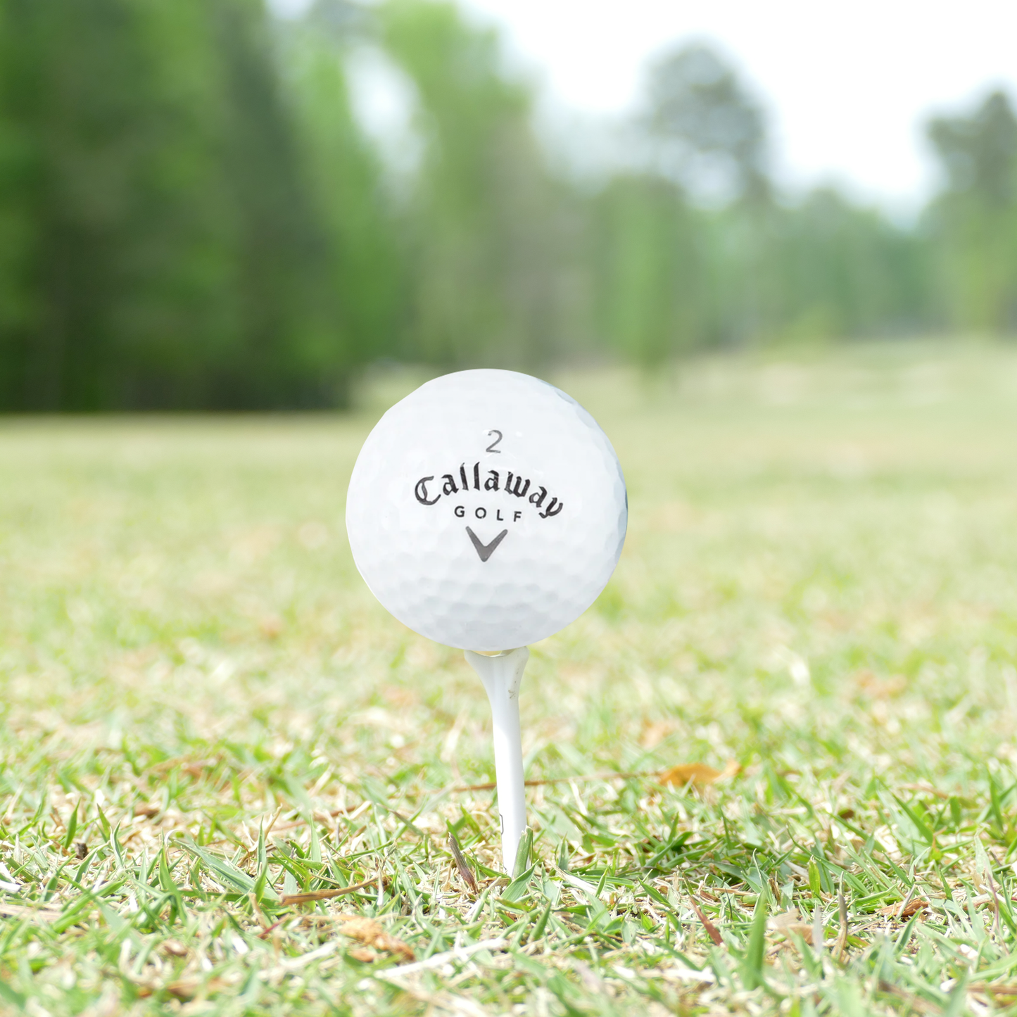 Callaway Mint Mix Golf Balls - 1 Dozen