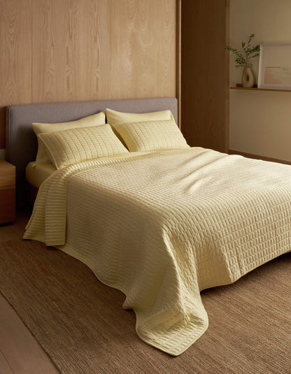 Cozy Earth Bamboo Jersey Quilt