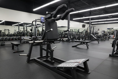 SFE Plate Loaded Power Squat & Hack Squat (V-Squat) Machine