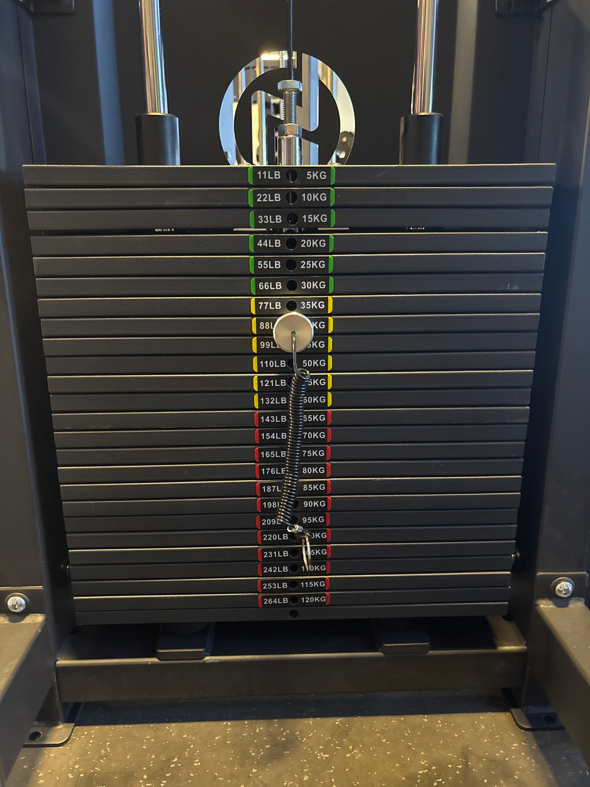 SFE Selectorized Assisted Chin Up/Dip Machine w/ 250lb Weight Stack