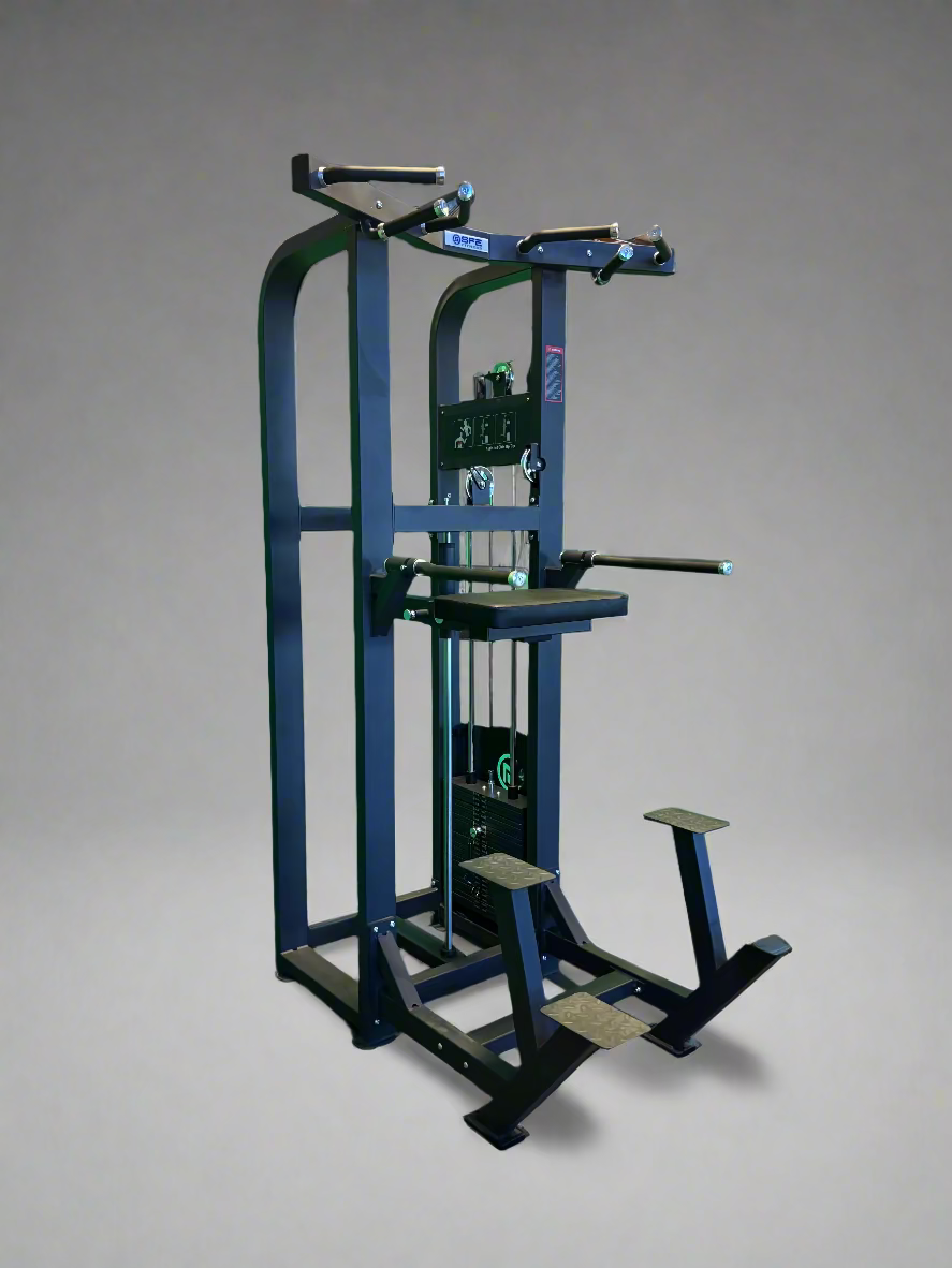 SFE Selectorized Assisted Chin Up/Dip Machine w/ 250lb Weight Stack