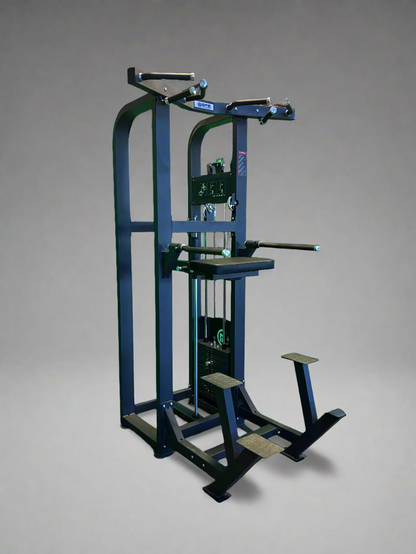 SFE Selectorized Assisted Chin Up/Dip Machine w/ 250lb Weight Stack