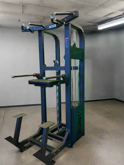 SFE Selectorized Assisted Chin Up/Dip Machine w/ 250lb Weight Stack