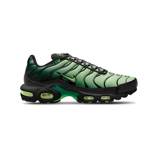 Nike Air Max Plus 'Vapor Green Gradient'