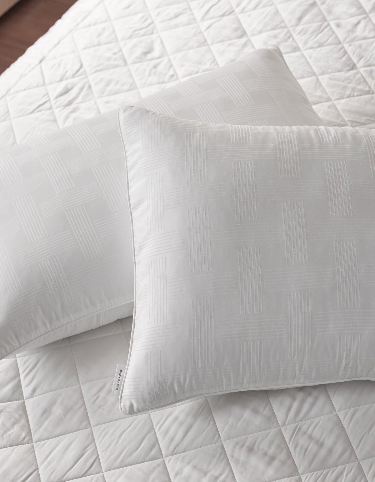 Cozy Earth Pillow Protector