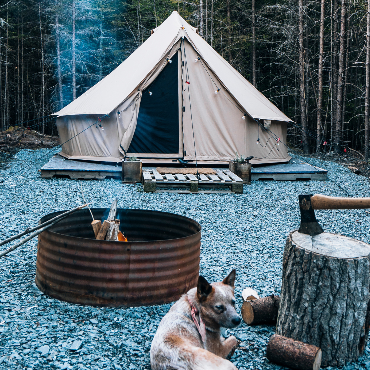 WDO Regatta Bell Tent