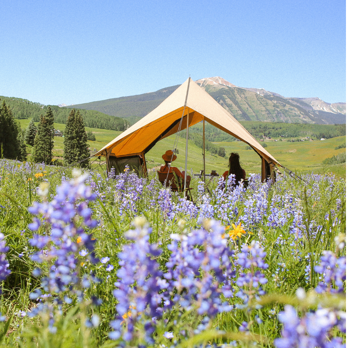WDO Rover Scout Tent 8'x13'