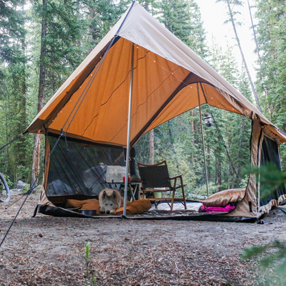 WDO Rover Scout Tent 8'x13'