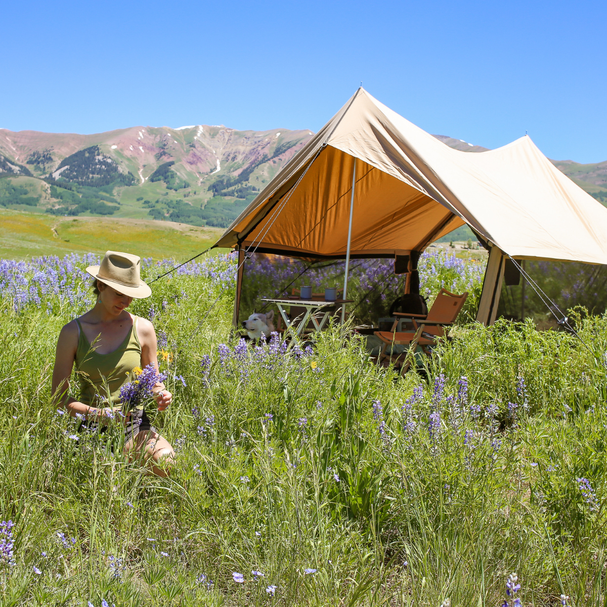 WDO Rover Scout Tent 8'x13'