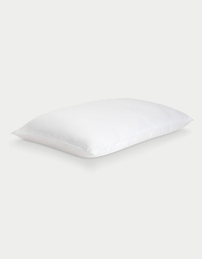 Cozy Earth Silk Pillow