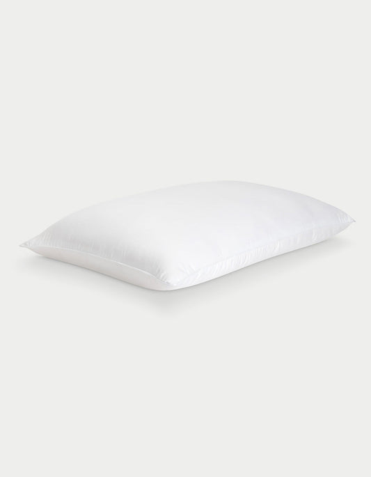 Cozy Earth Silk Pillow
