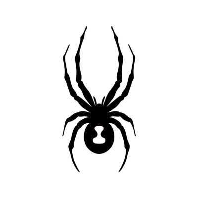 Spyder