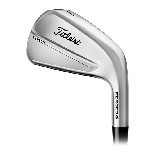 Titleist T250 forged golf iron club with silver finish, ideal for men's golf gear
