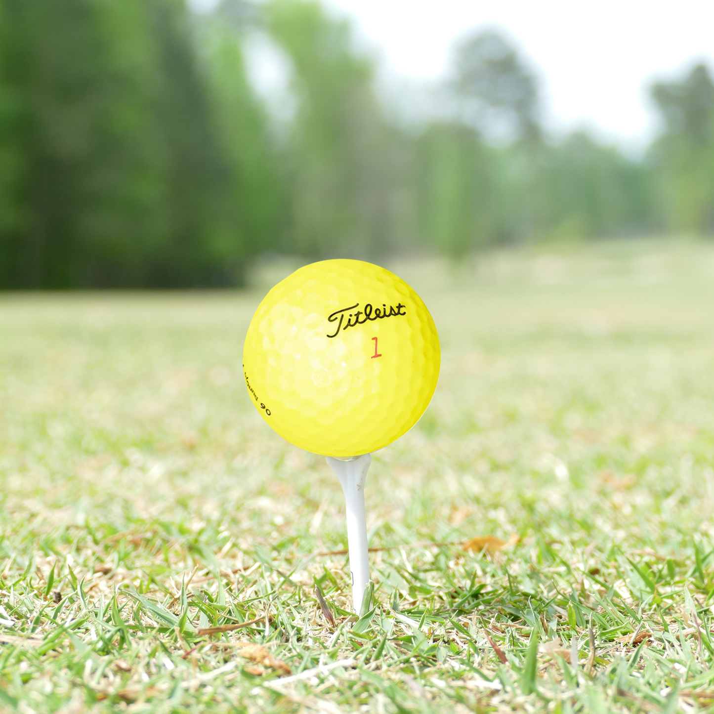 Titleist Mint Yellow Mix Golf Balls - 1 Dozen