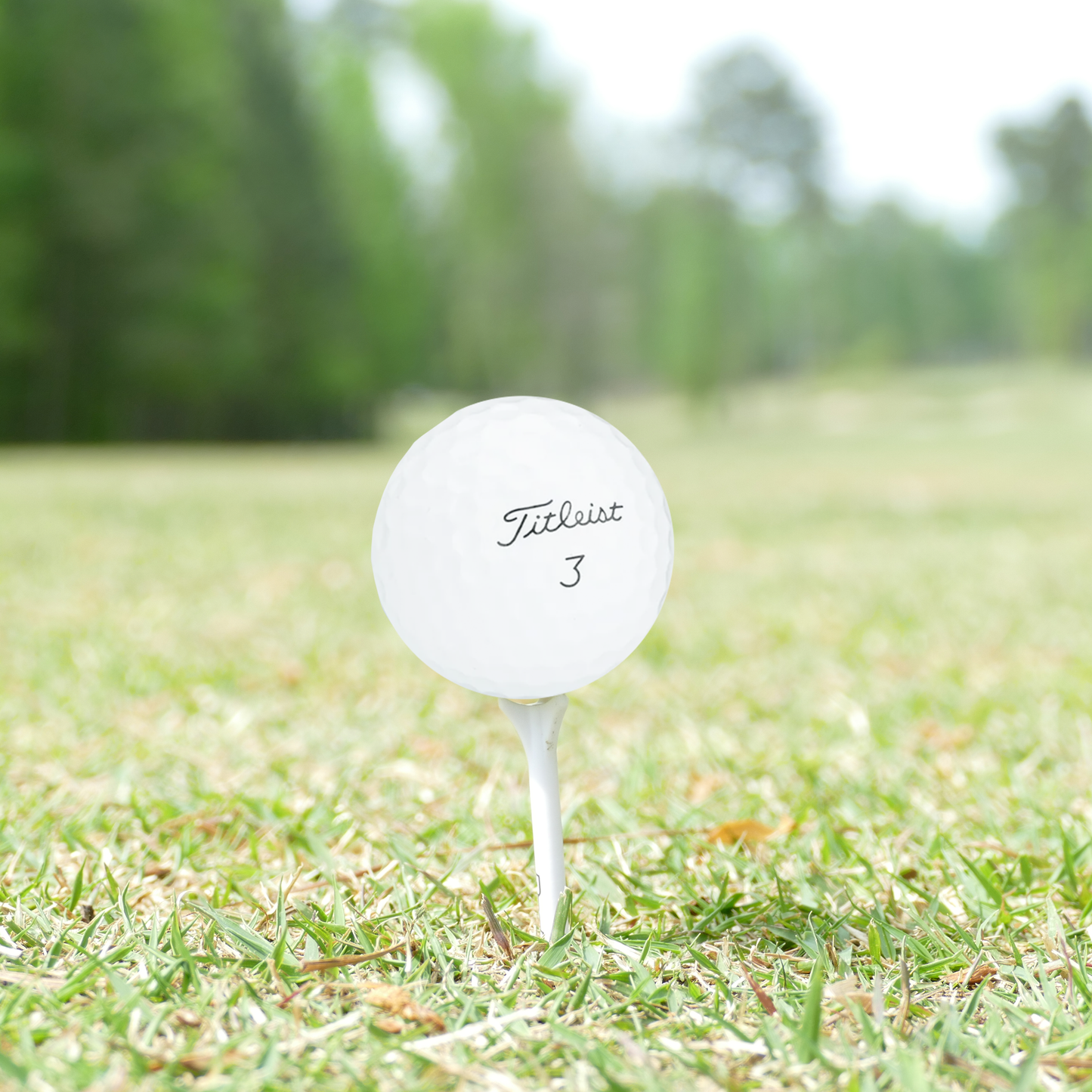 Titleist Mint/Near Mint Pro V1 Mix Golf Balls - 1 Dozen