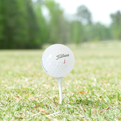 Titleist Mint/Near Mint 2025 Pro V1x Golf Balls - 1 Dozen